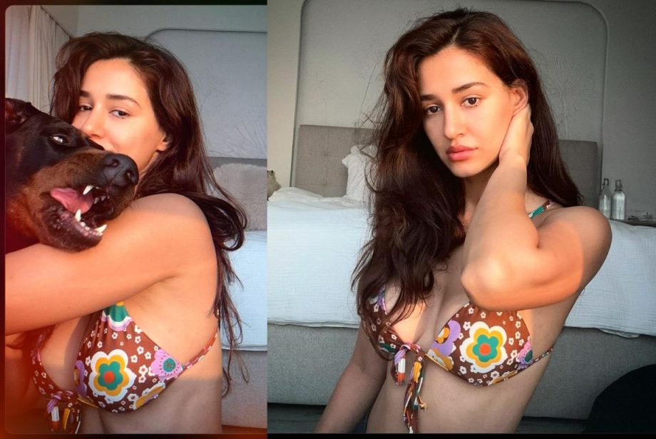 Disha Patani Dazzles In Floral Bra, Serving Major Sunkissed Vibes! 889473