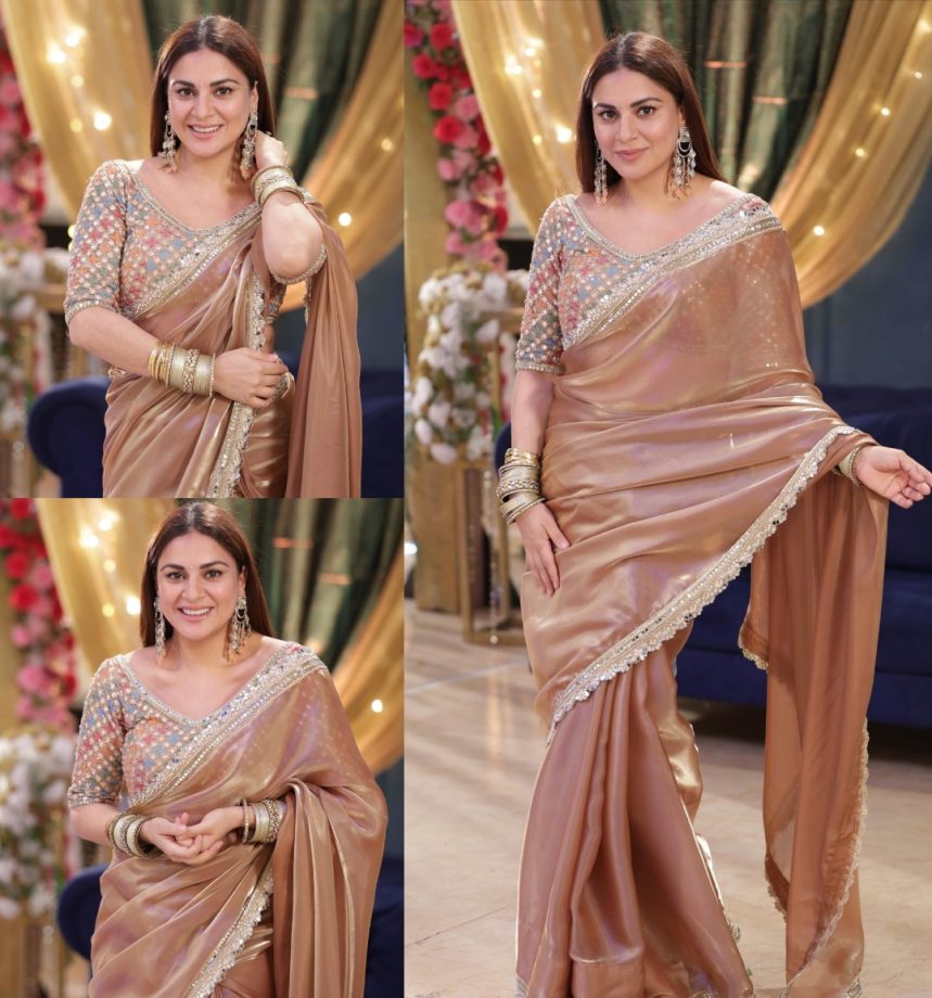 Ethereal Elegance: Shraddha Arya Channels Timeless Charm In A Brown Organza Saree 889663