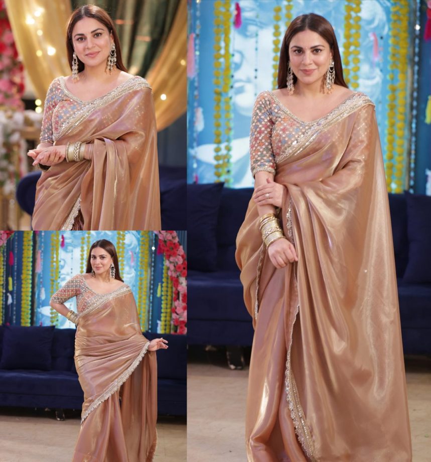 Ethereal Elegance: Shraddha Arya Channels Timeless Charm In A Brown Organza Saree 889664