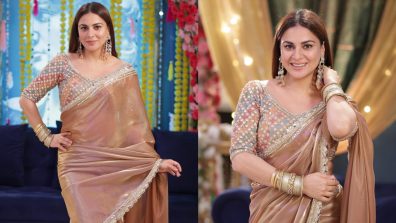 Ethereal Elegance: Shraddha Arya Channels Timeless Charm In A Brown Organza Saree
