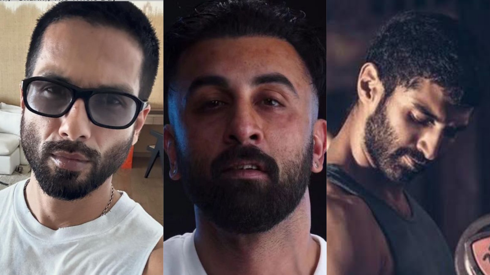 From Ranbir to Aditya: 6 summer-inspired hairstyles to beat the heat 892157