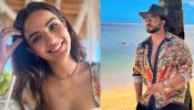 Golden Sand, Delicious Food & Silhouette Hours: Dive into Jasmin Bhasin and Aly Goni's Romantic Vacation in Mauritius 893139