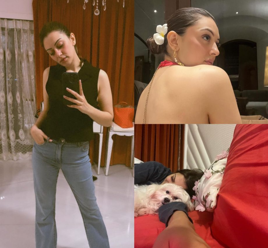 Hansika Motwani's Stylish and Quirky Moments in the Latest Photo Dump, Check Now! 890967