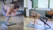 Malaika Arora Raises The Fitness Bar With Complex Yoga Poses, Watch!