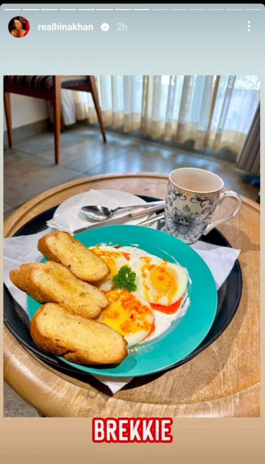 Morning Munchies: Hina Khan's Favourite Breakfast Revealed! 890879