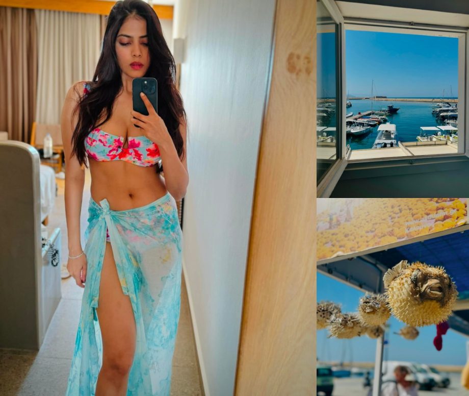 Ocean Vibes: Malavika Mohanan Flaunts her Toned Figure in a Classy Floral Bralette and Skirt With Nature View, See Photos! 891548