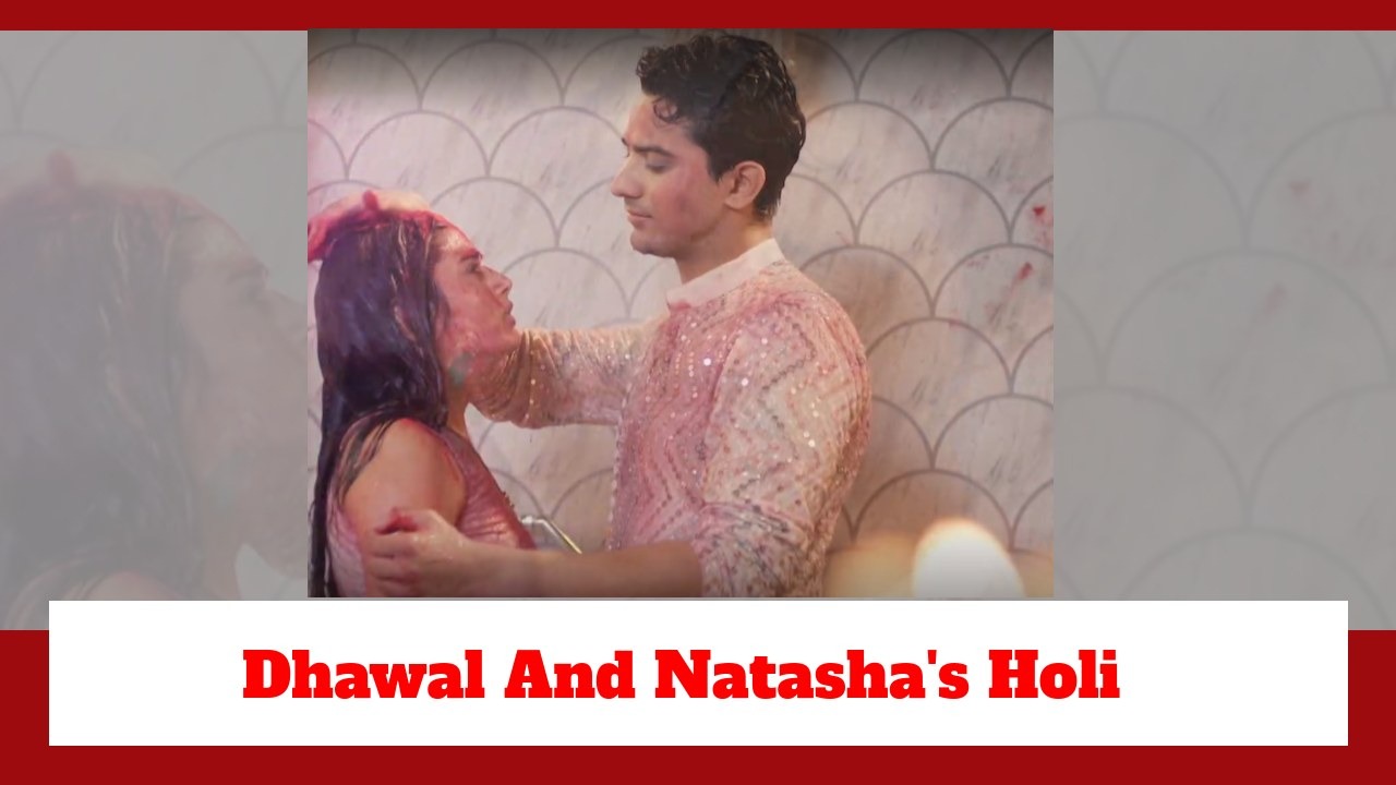 Pandya Store Spoiler: Dhawal and Natasha's Holi; promise to make things right 890554