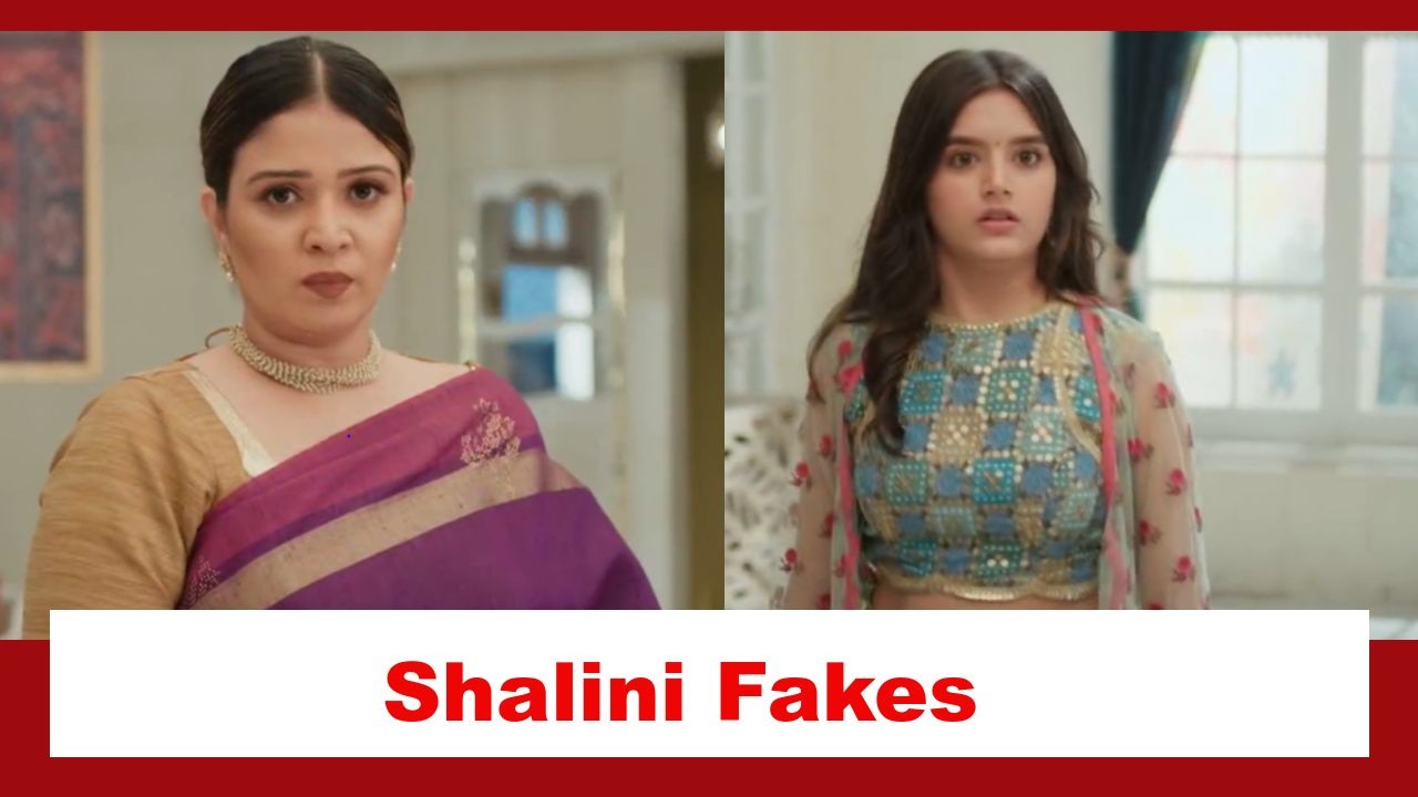 Pandya Store Spoiler: Shalini fakes an injury to stay in Makwana house; Natasha knows her intentions 892572