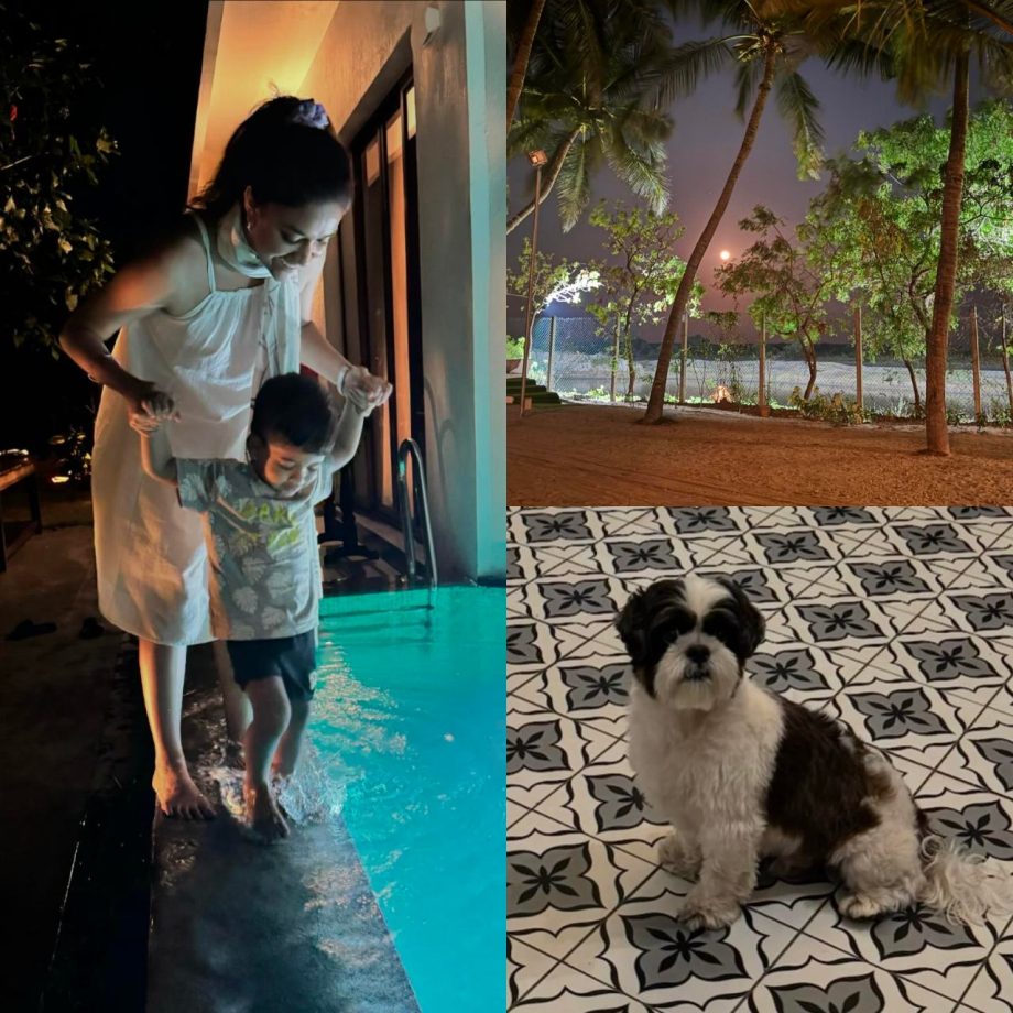 Pondy Diaries: Peek into Keerthy Suresh’s Serene Moments With Her Pet Dog Nyke! 893235