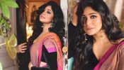 Ritabhari Chakraborty Elevates Traditional Elegance In Duo-Tone Cotton Saree With Black Blouse