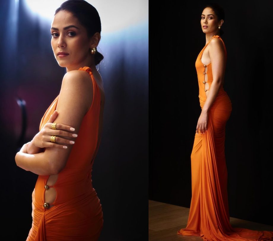 Sensuous Nayanthara and Mira Kapoor Flaunts their Curves in Daring, Plunging Neckline Gowns Trend 892892