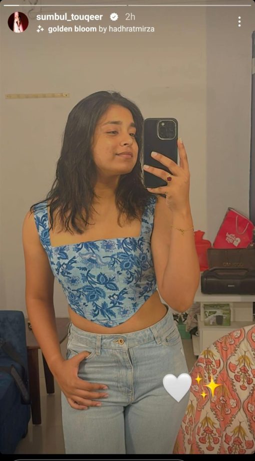 Sumbul Touqeer Offers A Sneak Peek Into Her Stylish Mirror Selfie, See Pic! 890824