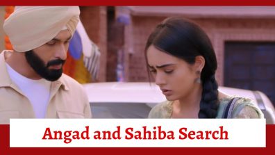 Teri Meri Doriyaann Spoiler: Angad and Sahiba go in search of Akeer; Diljeet feels dejected