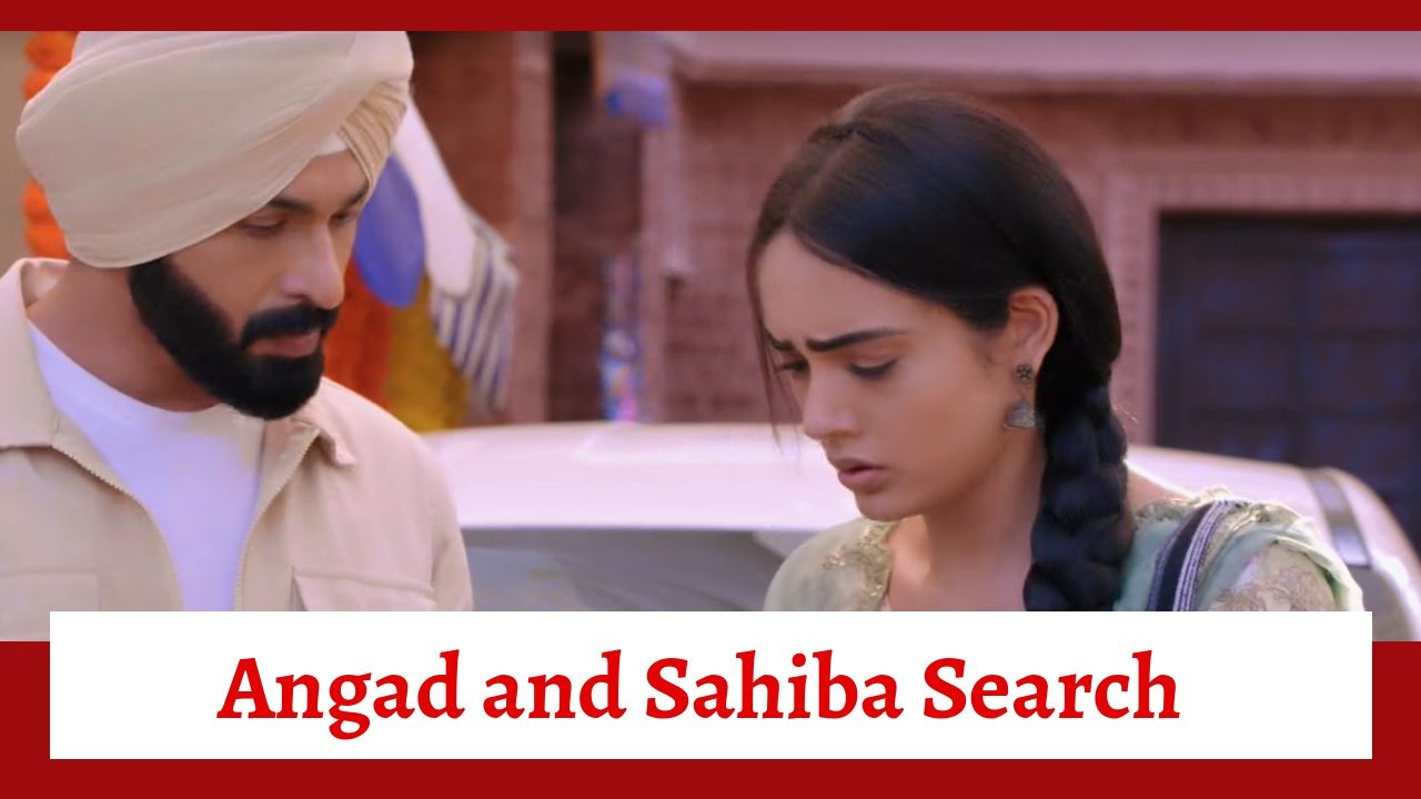 Teri Meri Doriyaann Spoiler: Angad and Sahiba go in search of Akeer; Diljeet feels dejected 893017