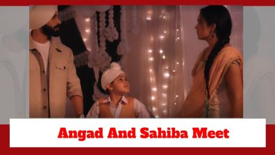 Teri Meri Doriyaann Spoiler: Angad and Sahiba meet again; destiny brings them face-to-face