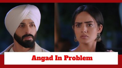 Teri Meri Doriyaann Spoiler: Angad gets into a problem; Sahiba saves him