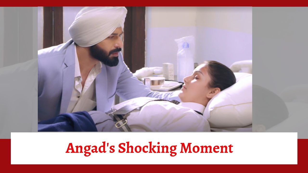 Teri Meri Doriyaann Spoiler: Angad's shocking moment 889507