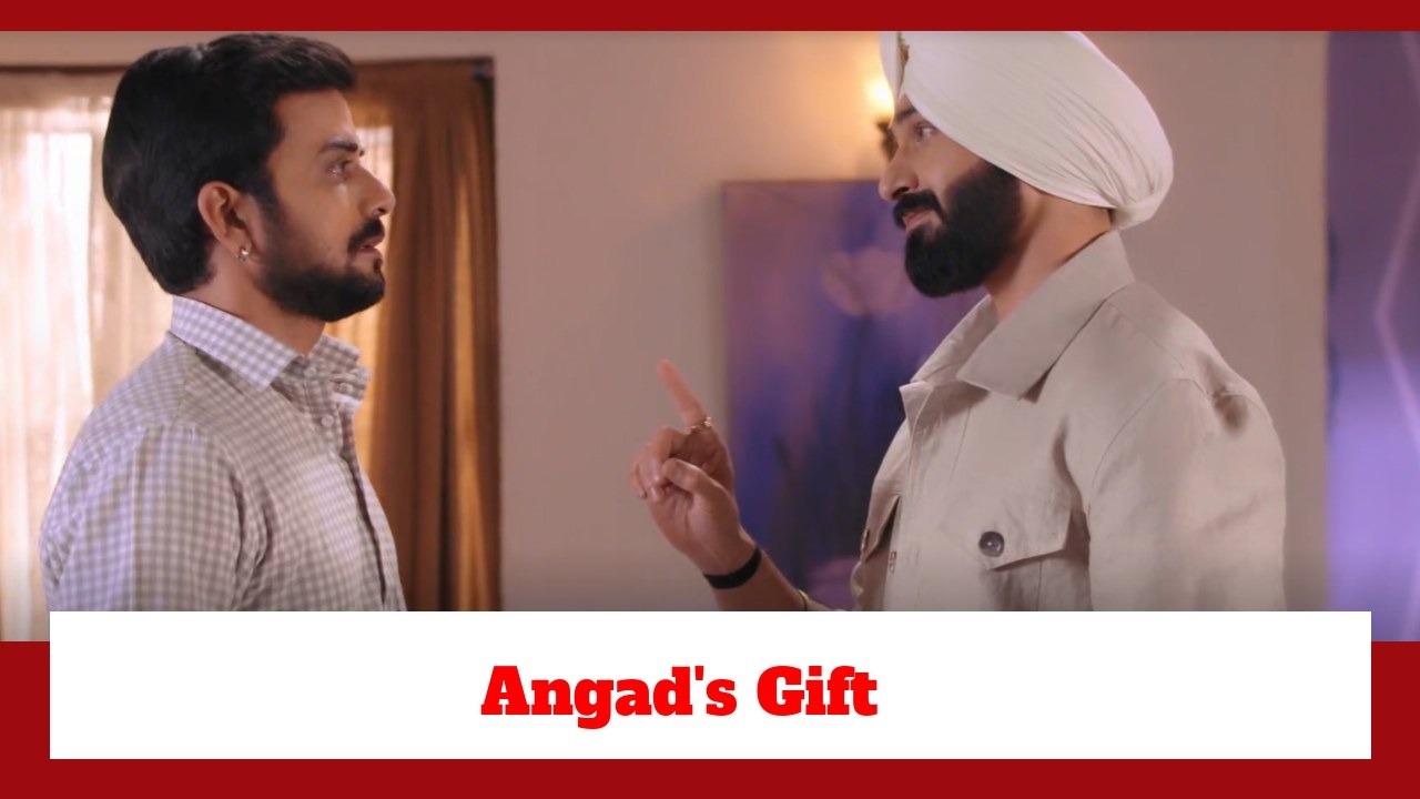 Teri Meri Doriyaann Spoiler: Angad's special gift to Diljeet; Diljeet feels grateful 890539