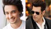 “There is  conjecture about Salman Bhai and me having issues but wouldn't your own mentor want you  to fly with your own wings ?”  Aayush Sharma  On Somersaulting Out Of Salman’s Shadow 893154