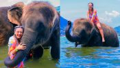 Animal Lover: Aashika Bhatia Enjoys The True Beauty Of Life With Her Adventurous Vacation 894411