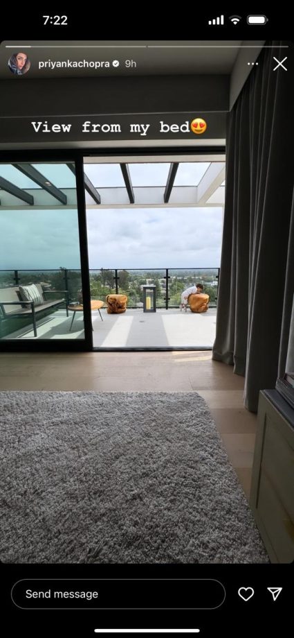 Balcony Bliss to Nick Jonas's Charm: Inside Priyanka Chopra's World, Her Instagram Tells It All! 896861