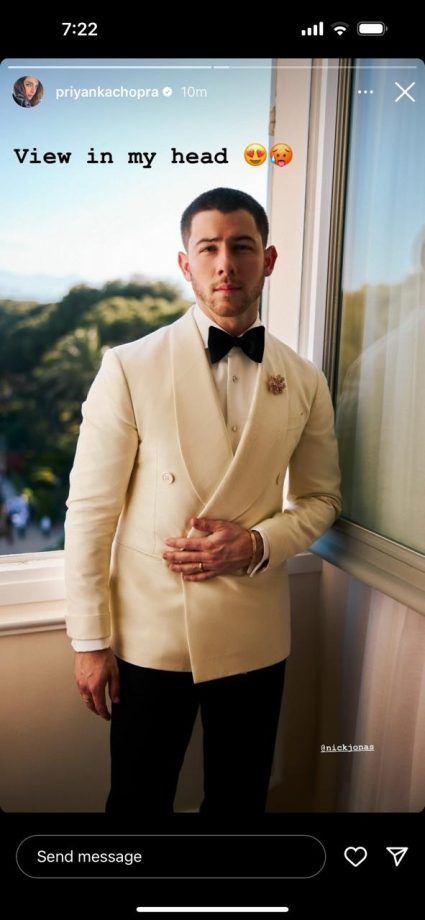 Balcony Bliss to Nick Jonas's Charm: Inside Priyanka Chopra's World, Her Instagram Tells It All! 896862