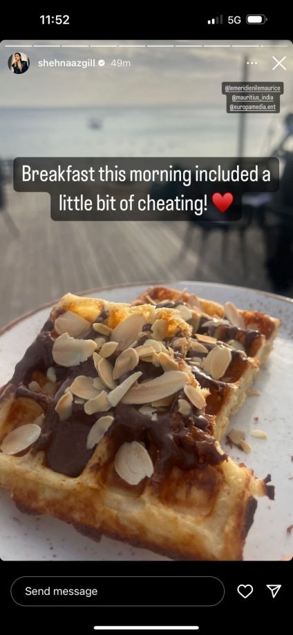 Breakfast to Lunch: Peek into Tara Sutaria, Shehnaaz Gill, and Gauri Khan's Mouthwatering Meals Throughout the Day! 896907