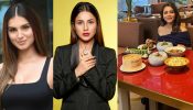 Breakfast to Lunch: Peek into Tara Sutaria, Shehnaaz Gill, and Gauri Khan's Mouthwatering Meals Throughout the Day! 896910