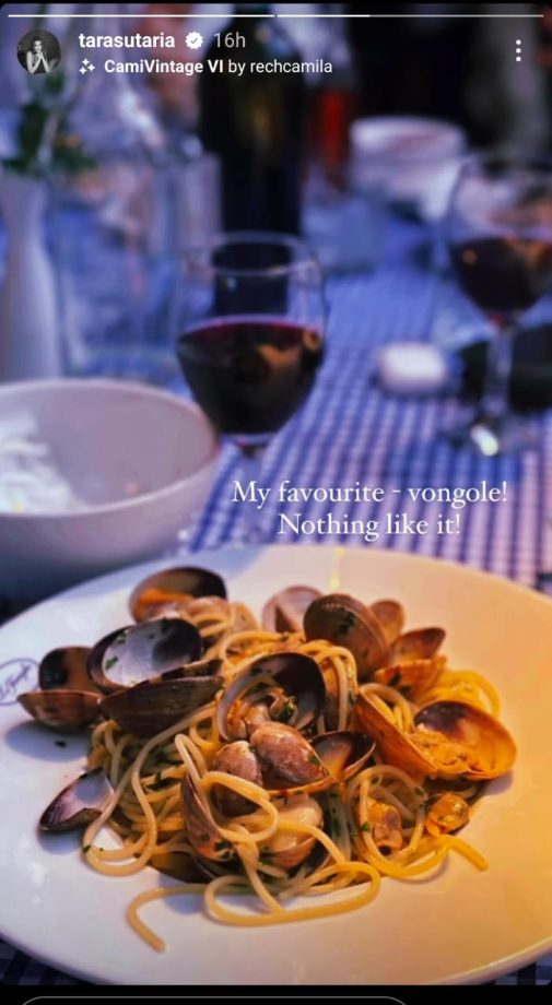 From Breakfast to Dinner: Peek into Ashi Singh and Tara Sutaria's Scrumptious Meal! 895557