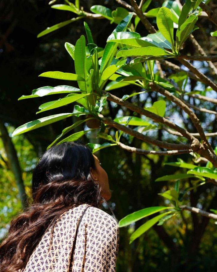 [In Pics] Decoding Erica Fernandes's 'Frangipani' Moments 896647