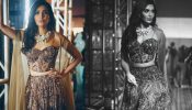 Karishma Tanna's Dazzling Brown Lehenga Is A Outfit You Can Wear For Weddings To Parties