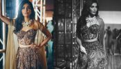 Karishma Tanna's Dazzling Brown Lehenga Is A Outfit You Can Wear For Weddings To Parties 894102