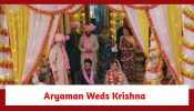 Krishna Mohini Spoiler: Aryaman rescues Krishna; marries her 896073