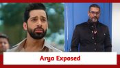 Main Hoon Saath Tere Spoiler: Arya tries to catch the culprit; but gets exposed before his father