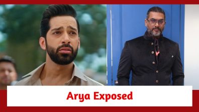 Main Hoon Saath Tere Spoiler: Arya tries to catch the culprit; but gets exposed before his father
