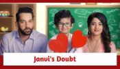 Main Hoon Saath Tere Spoiler: Prince addresses Arya as Mamu; Janvi gets a doubt
