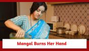 Mangal Lakshmi Spoiler: Mangal's quest to make money; burns her hand while cooking 897239
