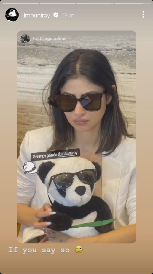 Mouni Roy Poses With Jennifer Winget, Friends Call Her 'Grumpy Panda' 896557