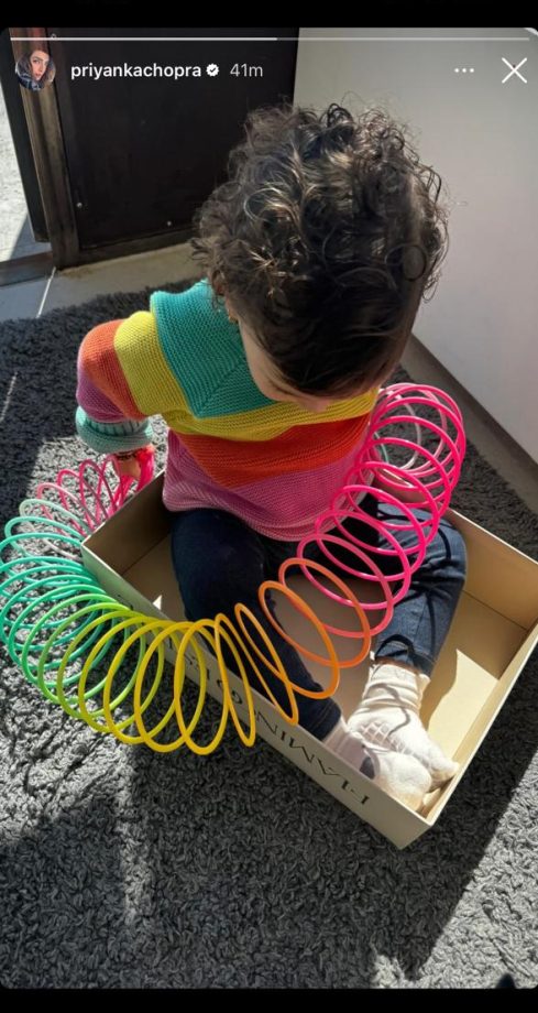 Priyanka Chopra Shares Cute Candid Moment of her Daughter Malti Marie, Playing with Spiral, See Photo! 893703