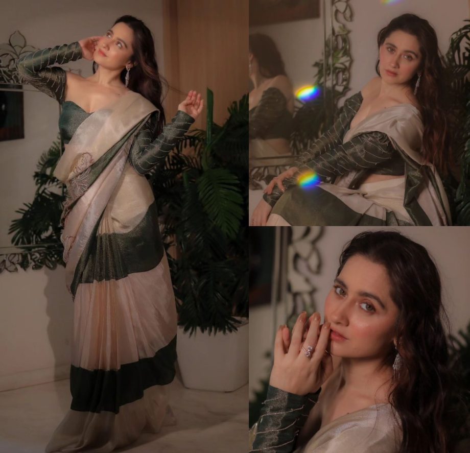 Sanjeeda Shaikh In Organza Saree Or Rashami Desai In Metallic Saree: Who Slays In Classy Saree Look? 897768