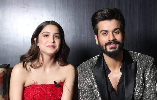 Sunny Kaushal cannot get enough of rumored girlfriend Sharvari Wagh's song, 'Taras' 897221
