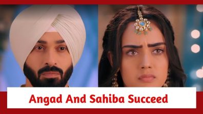 Teri Meri Doriyaann Spoiler: Angad and Sahiba succeed in their plan; Diljeet remains clueless