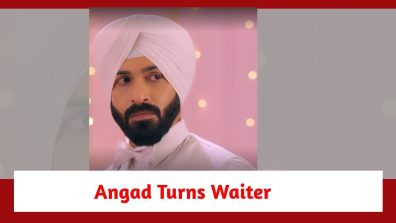 Teri Meri Doriyaann Spoiler: Angad dons a waiter’s garb; eager to meet his son Akeer