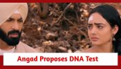 Teri Meri Doriyaann Spoiler: Angad proposes DNA test; Sahiba refuses to join hands with Angad 895005
