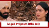 Teri Meri Doriyaann Spoiler: Angad proposes DNA test; Sahiba refuses to join hands with Angad