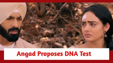 Teri Meri Doriyaann Spoiler: Angad proposes DNA test; Sahiba refuses to join hands with Angad