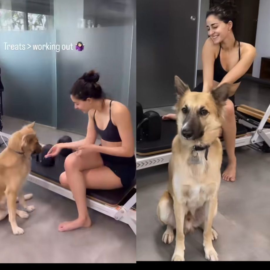 Ananya Panday Starts Sunday Fun With Pilates Workout Session With Furry Friend, Checkout Photos! 902335