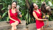 Anushka Sen Shares Throwback Memories From Bangkok’s Safari World Says, “Made So Many Friends”