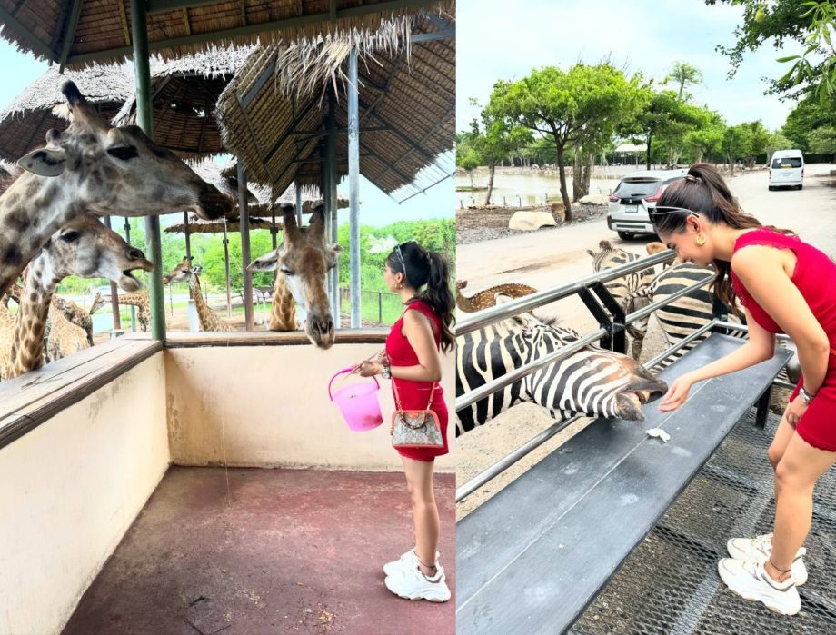 Anushka Sen Shares Throwback Memories From Bangkok’s Safari World Says, “Made So Many Friends” 897975