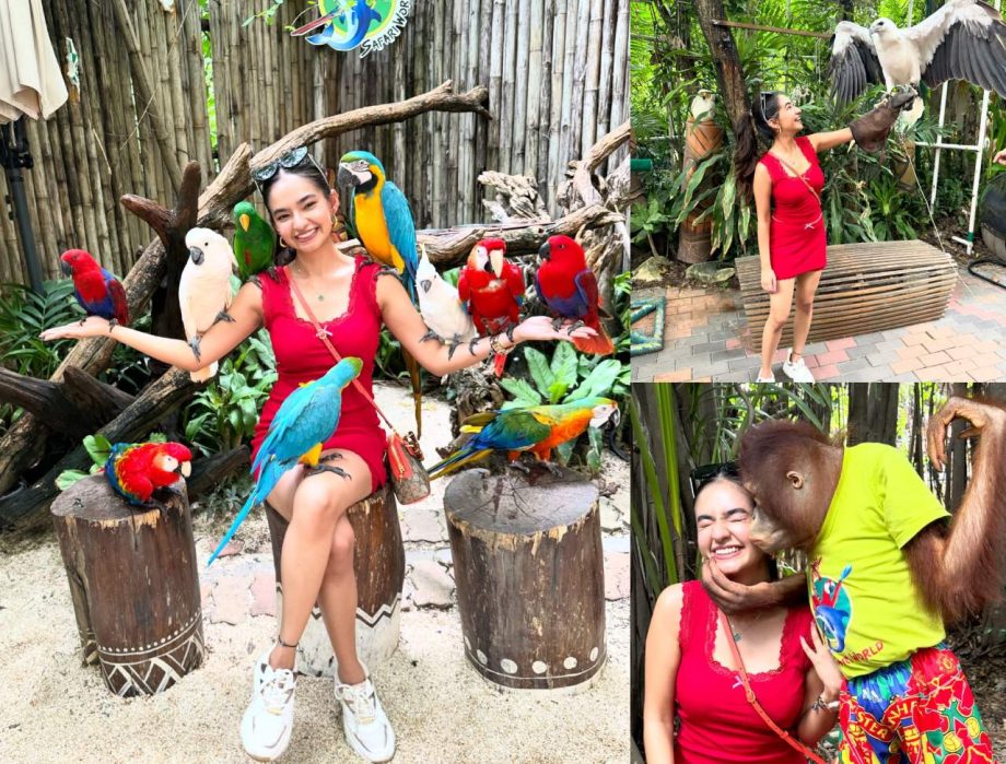 Anushka Sen Shares Throwback Memories From Bangkok’s Safari World Says, “Made So Many Friends” 897976